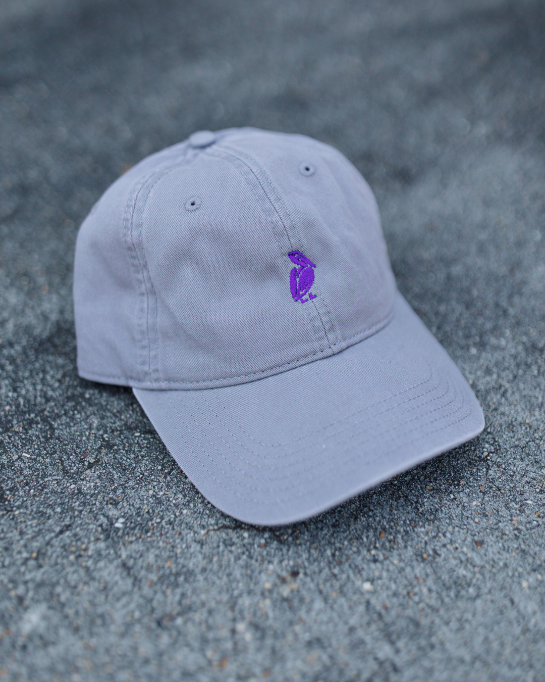 Sweet Baton Rouge, New Orleans, Lafayette, Louisiana, Baton Rouge, Sweet Baton Rouge Hat, Louisiana Apparel, Louisiana-Themed Accessories, Southern Style Apparel, Louisiana-Themed Accessories Near Me, Petey Hat, Grey Hat Near Me, Pelican Hat