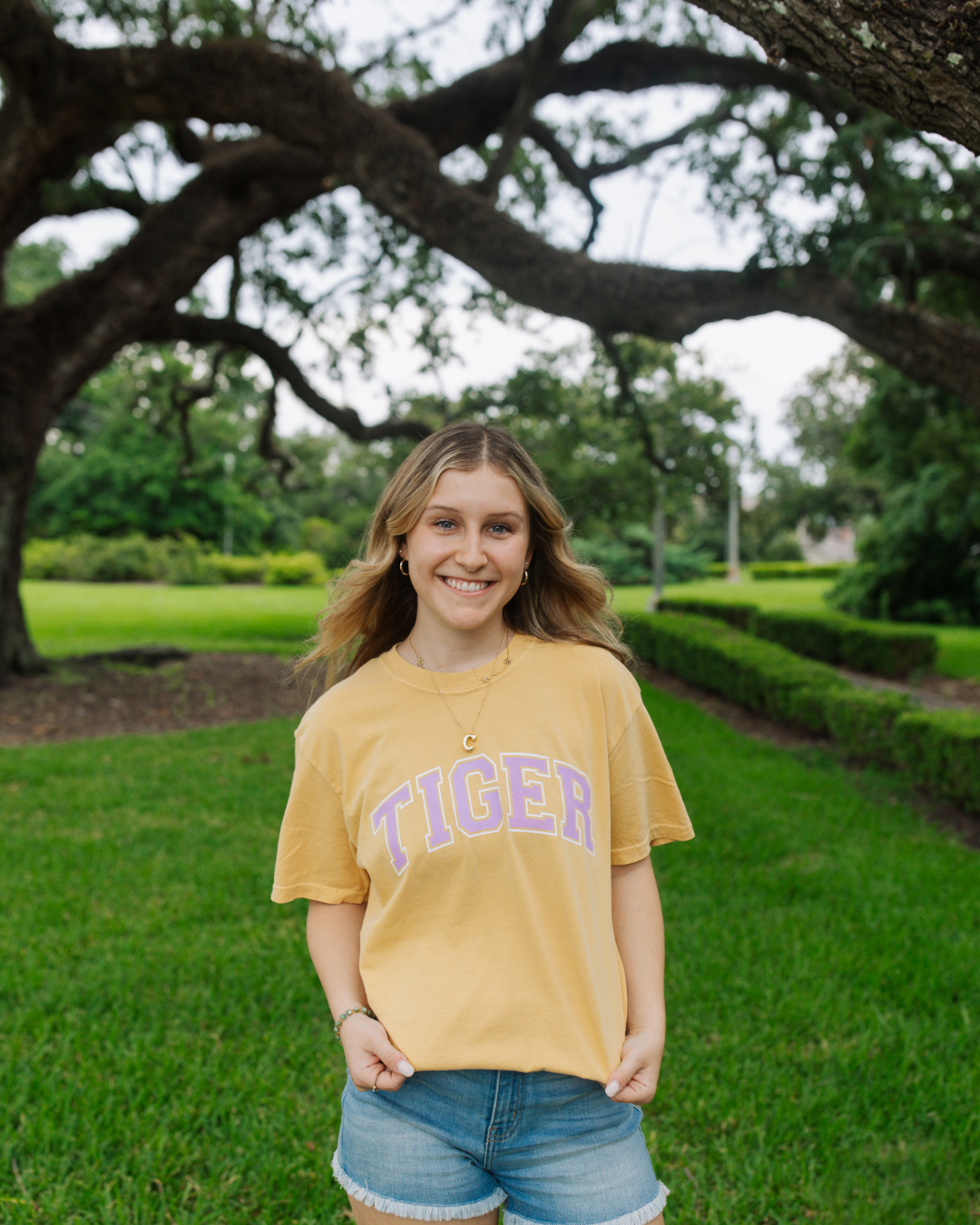Tiger T-Shirt, Gameday Comfort Colors T-Shirt, Louisiana Apparel, Sweet Baton Rouge®, Baton Rouge T-Shirt, Sweet Baton Rouge t-shirt, Louisiana Apparel, New Orleans, Lafayette, Louisiana, Local t-shirts, Local Sweatshirts Near Me, Tiger t-shirt, gold tiger t-shirt