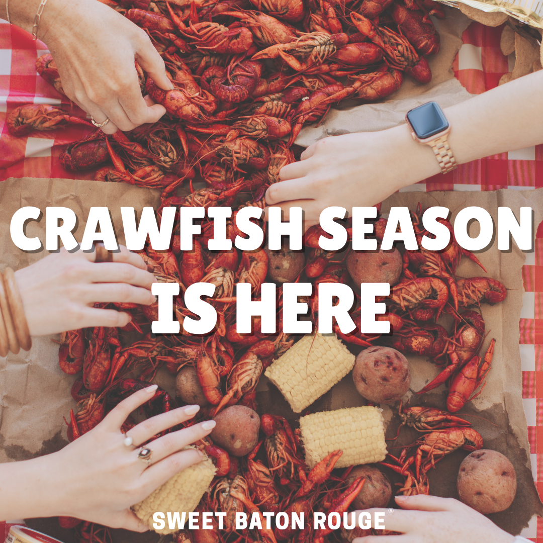 Top 5 Places to Get Crawfish in Baton Rouge