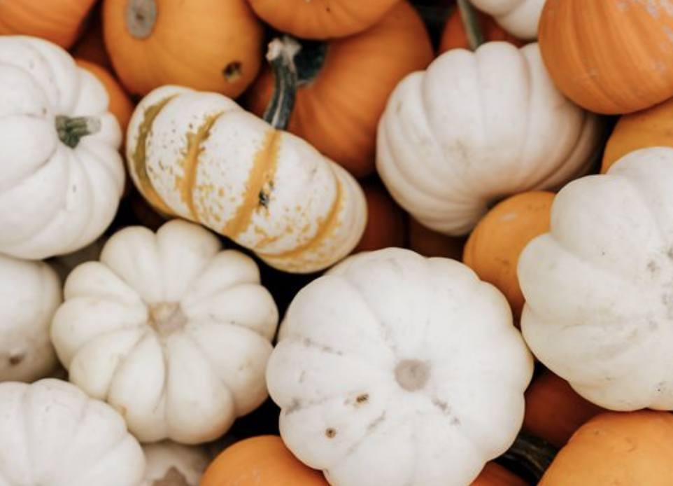 On The Hunt For Local Fall Decor and Art