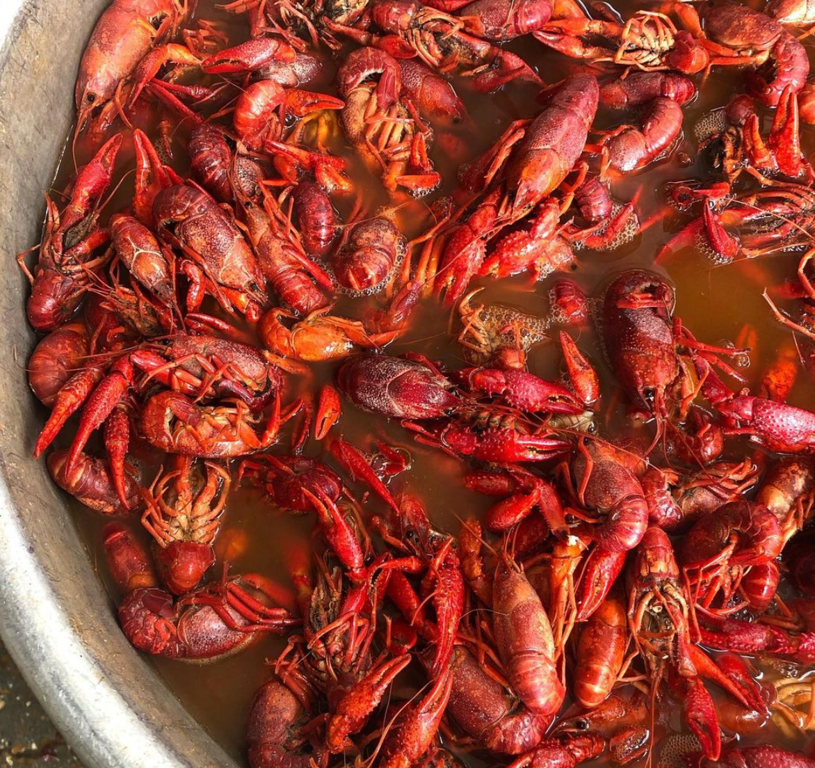 Willie's Restaurant, Best Crawfish in Baton Rouge, Louisiana