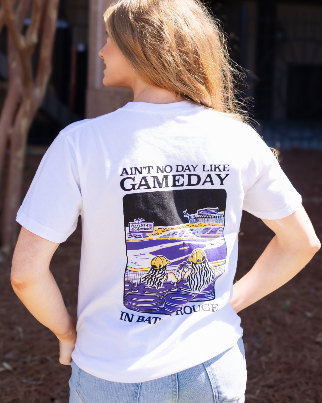 Baton Rouge Baseball T-Shirt, Baseball T-Shirt, Sweet Baton Rouge t-shirts, Louisiana Apparel.