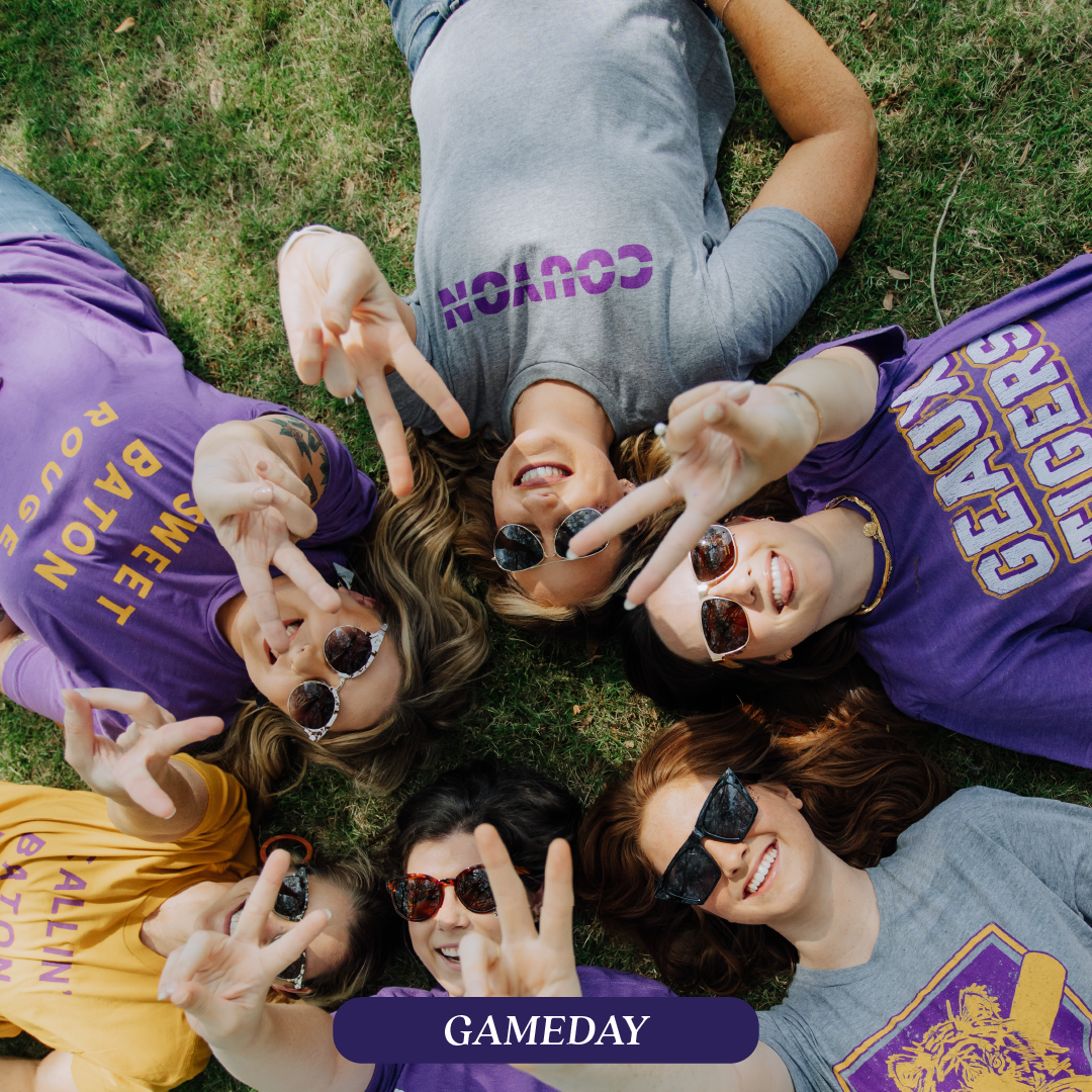 LSU Sports, LSU T-Shirts, Louisiana Apparel, Sweet Baton Rouge t-shirts.