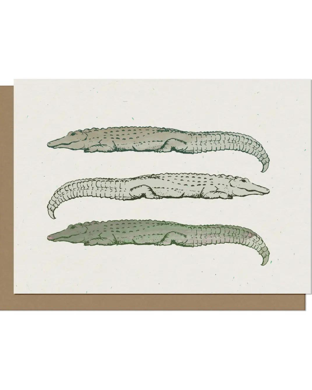 Lazy Alligators Blank Card