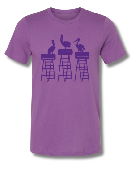 Pelican Mardi Gras Ladder | Mardi Gras Shirts