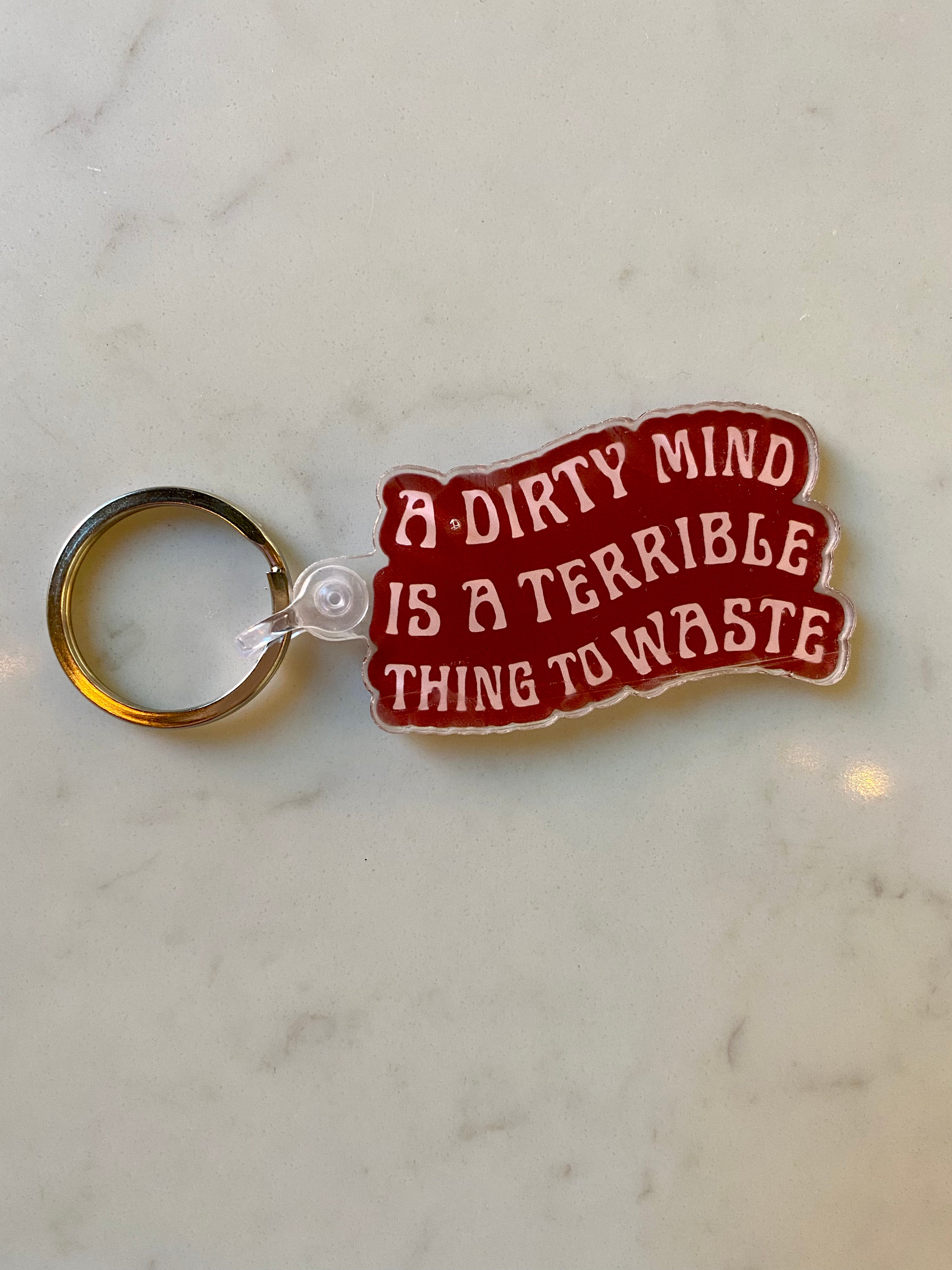 A Dirty Mind Is A Terrible Thing To Waste Keychain